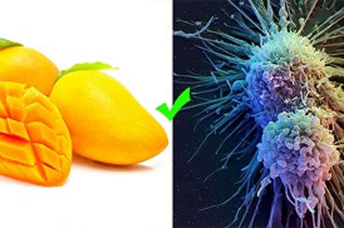 "Vua của trái cây" giúp bạn phòng ung thư và bệnh tim, loại quả nên ăn hằng ngày