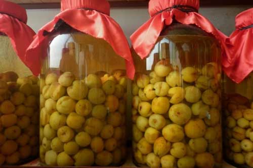 Làm táo mèo ngâm đúng cách đạt hiệu quả cao nhất cho cả nhà khỏe