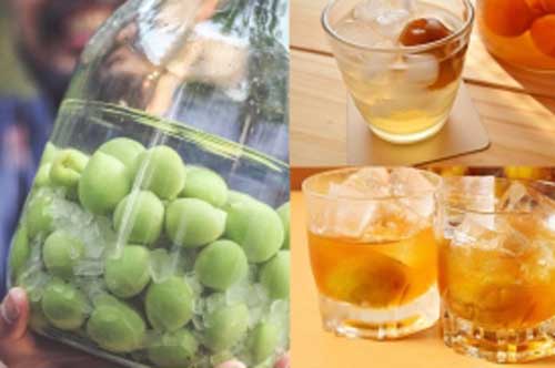 Cách ngâm rượu mơ đúng chuẩn, thơm ngon dễ uống