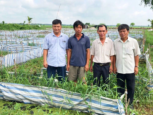 Hộ nuôi lươn ở xã Tân An cần liên kết để làm ăn tập thể