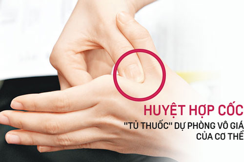 Thường xuyên xoa vào 3 chỗ này, vừa giúp giải độc, bổ thận, an thần lại tốt cho sức khỏe