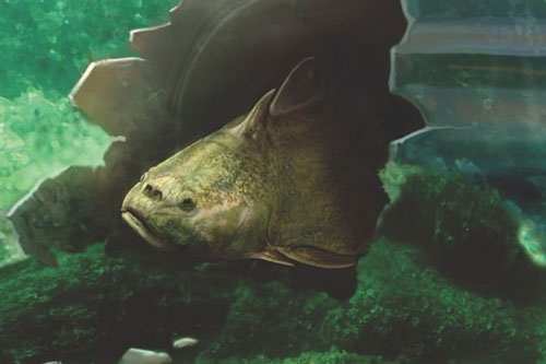 Hãi hùng "quái vật răng người" là… thủy tổ của chúng ta