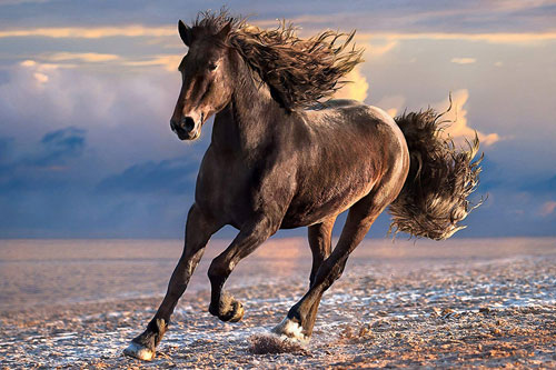 Bị 'sao chổi chiếu rọi', 3 con giáp này dễ gặp xui xẻo đủ đường, mất tiền mất của trong 10 ngày cuối tháng 5 Âm lịch