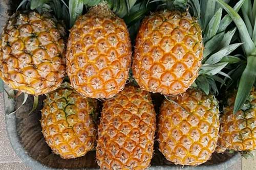 Dứa đang mùa nở rộ: Chỉ 3 giây biết quả nào ngọt lừ không thuốc, mẹ thông thái nắm lấy để không bị lừa