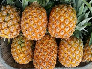 Dứa đang mùa nở rộ: Chỉ 3 giây biết quả nào ngọt lừ không thuốc, mẹ thông thái nắm lấy để không bị lừa