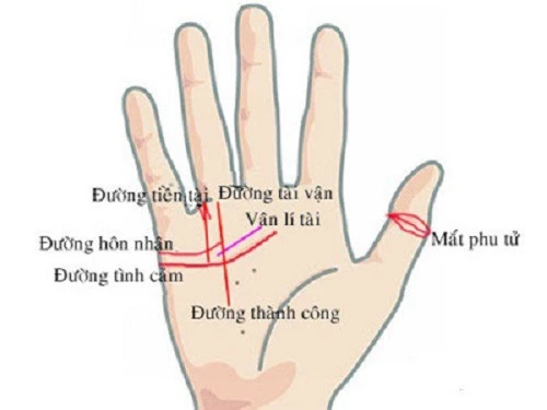 Tướng bàn tay thành công