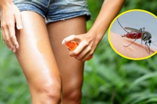Những mẹo tránh muỗi đốt đơn giản và hiệu quả