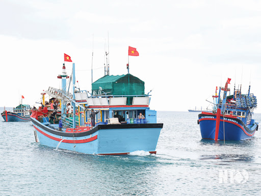 Bà Rịa -Vũng Tàu: Sản lượng khai thác thủy sản 6 tháng đầu năm đạt 57%