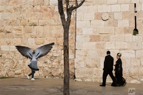 Những tường thành cổ định hình cuộc sống ở đất thánh Jerusalem - 4