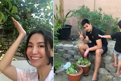 Khu vườn cây trái nhỏ xinh của vợ chồng Baggio ở Mỹ