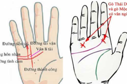 4 đặc điểm khác người trên bàn tay,' hút' tiền bạc vào nhà không sót xu nào
