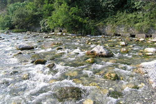 5 dòng sông ngắn nhất thế giới