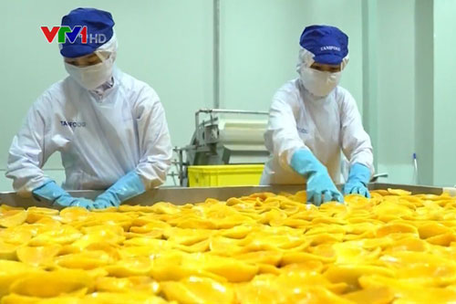 Đảm bảo quy tắc xuất xứ nông sản - “Chìa khóa” tận dụng EVFTA