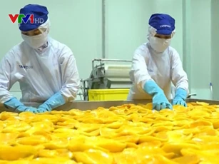 Đảm bảo quy tắc xuất xứ nông sản - “Chìa khóa” tận dụng EVFTA
