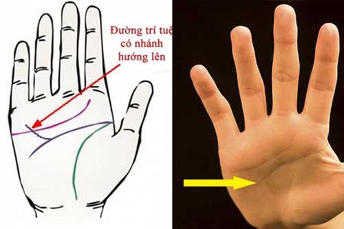 Con giáp nào sở hữu tướng bàn tay này dự báo tài vận giàu sang, "hút cạn lộc trời" nằm trên đống vàng