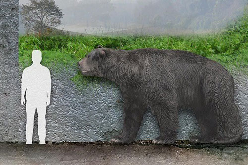 Tìm hiểu hóa thạch gấu có niên đại 120.000 năm tại Argentina