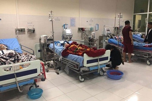 Ăn nhầm lá ngón, 5 người thương vong