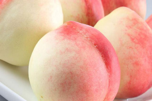 Giờ mới biết, mua đào cũng phải phân biệt quả đực hay cái, nhiều người mua nhầm nên bị chua