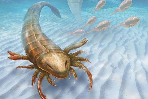 Phát hiện 'vua bọ cạp' to hơn con người, móng vuốt khủng long