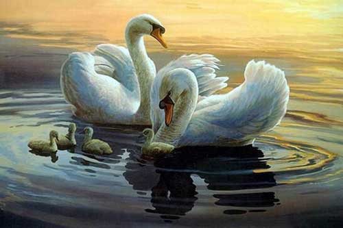 Âm thầm đặt 4 bức tranh này trong phòng ngủ, vợ chồng quanh năm chẳng to tiếng, tiền tài viên mãn