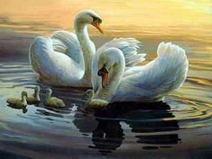 Âm thầm đặt 4 bức tranh này trong phòng ngủ, vợ chồng quanh năm chẳng to tiếng, tiền tài viên mãn