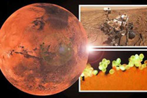 Tiết lộ sốc từ sinh vật lạ 70 triệu tuổi: Trái Đất từng quay khác hiện tại