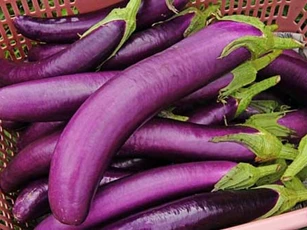 Mỗi ngày một quả cà tím "nhỏ nhưng có võ", cực tốt cho sức khỏe