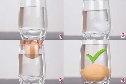 Thả 1 nắm muối nhỏ vào cốc nước rồi bỏ quả trứng gà vào, bạn sẽ thấy điều kỳ diệu xảy ra