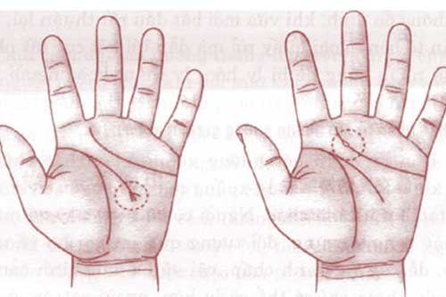 Chỉ cần xem bàn tay có thể biết vận mệnh hôn nhân bền lâu hay ‘đứt gánh giữa đường’