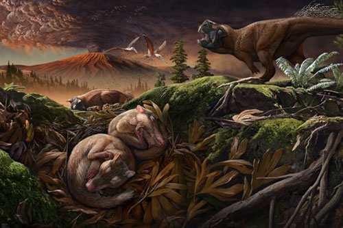 Giải thích lý do động vật có vú có thính lực tốt hơn