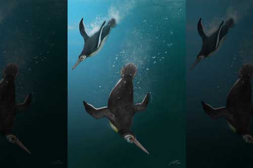 Bí ẩn sinh vật ra đời vào ngày thiên thạch tiêu diệt hết khủng long