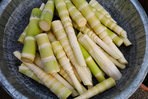 Luộc măng tươi kiểu này bao nhiêu độc tố 'bay' sạch lại giòn ngọt không sợ đắng