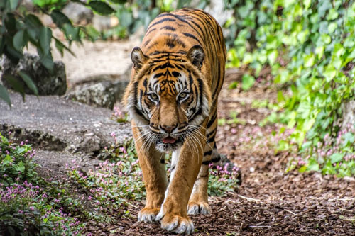 Sau 1/6 Âm lịch, 3 con giáp này dễ đổi đời trúng lớn, giàu có hết phần thiên hạ