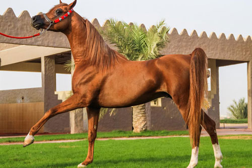 'Thần Tài ban thưởng', những con giáp này dễ giàu sang bất ngờ, tiền 'đè ngộp thở' trong 7 ngày tới