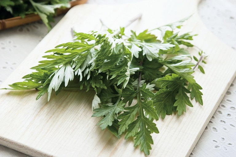 Ngải cứu là vị thuốc quý nhưng 3 trường hợp sau tuyệt đối không được ăn