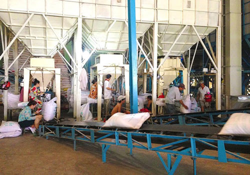 Trung Quốc và Indonesia tăng mua gạo Việt Nam