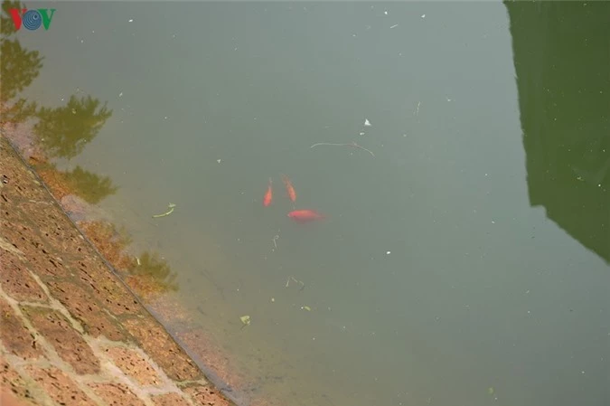 giếng cổ "có một không hai" tại làng yên lộ, hà nội hình 11 gieng co "co mot khong hai" tai lang yen lo, ha noi hinh 11