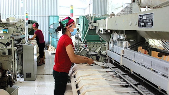 Nhờ có việc làm thường xuyên nên người lao động của HTX Bình Định có thu nhập ổn định