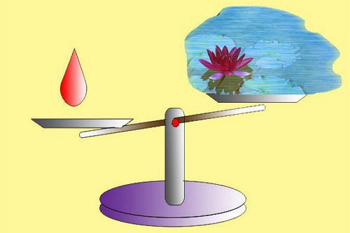 Giọt máu đào có hơn ao nước lã?