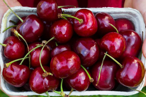 Những thực phẩm giúp bé ngủ ngon, tăng trưởng chiều cao vượt trội