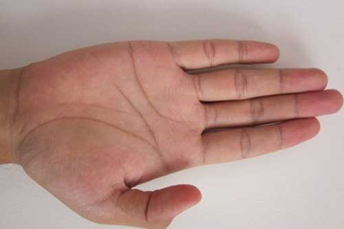 12 nét tướng tay tiết lộ thành công đến muộn nhưng rất rực rỡ