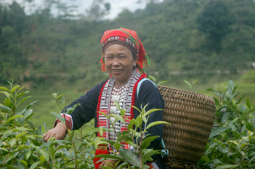 Thí điểm chuyển đổi số, phát triển kinh tế xã hội bằng công nghệ tại 7 xã khó khăn