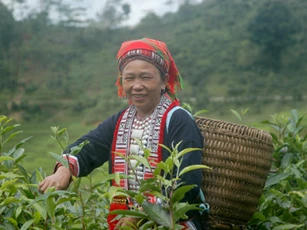 Thí điểm chuyển đổi số, phát triển kinh tế xã hội bằng công nghệ tại 7 xã khó khăn