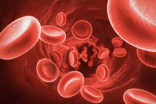 Ăn thực phẩm đâu cũng có, rẻ như cho này cả đời bạn không lo bị thiếu máu