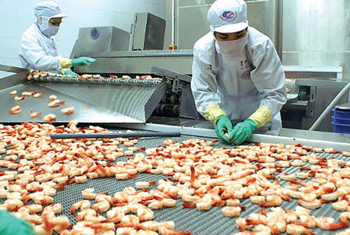 Mỗi tháng ngành thủy sản phải xuất khẩu hơn 1 tỷ USD mới đạt mục tiêu cả năm 10 tỷ USD