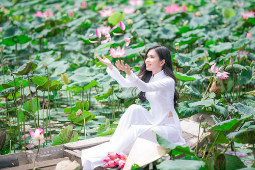 “Bản sao của Ngọc Trinh” hóa thôn nữ khoe sắc với sen hồng