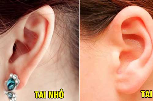 Thấy điều này xuất hiện trên đôi tai: Bạn có thể sẽ sống trường thọ, gánh tiền về nhà tiêu cả đời không hết