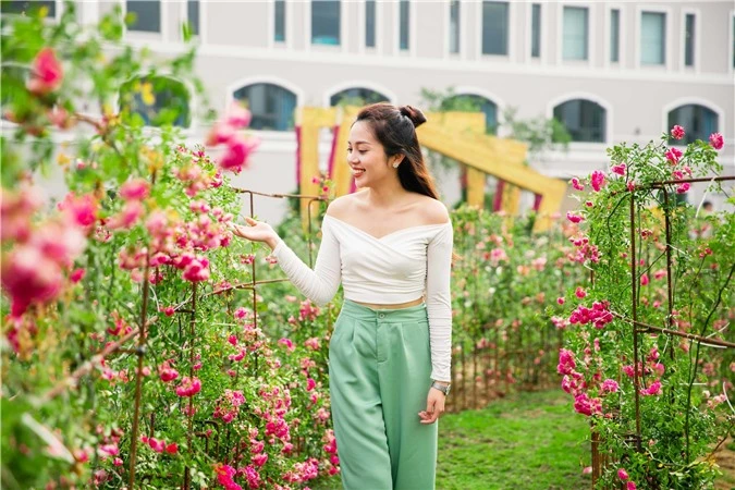 Du khách check-in thung lũng hoa hồng lớn nhất Việt Nam