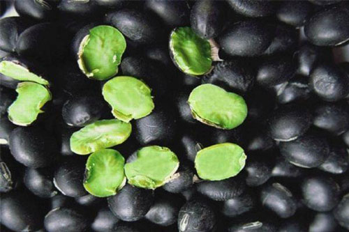 Mách bạn cách trị mụn bằng đậu đen xanh lòng đơn giản mà hiệu quả bất ngờ