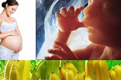 5 loại quả tốt như “nhân sâm” với mẹ bầu, mẹ thương con chớ vội bỏ qua